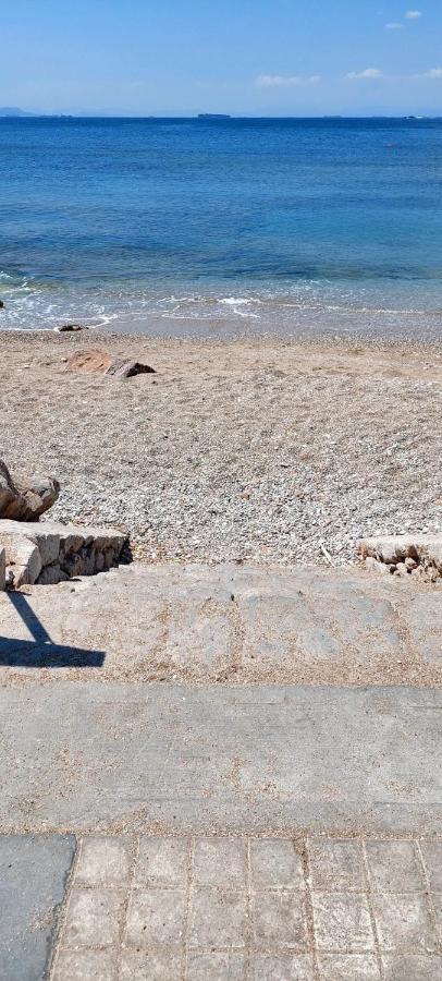 Apartment Riviera With Seaview, 15' To Acropolis Athens